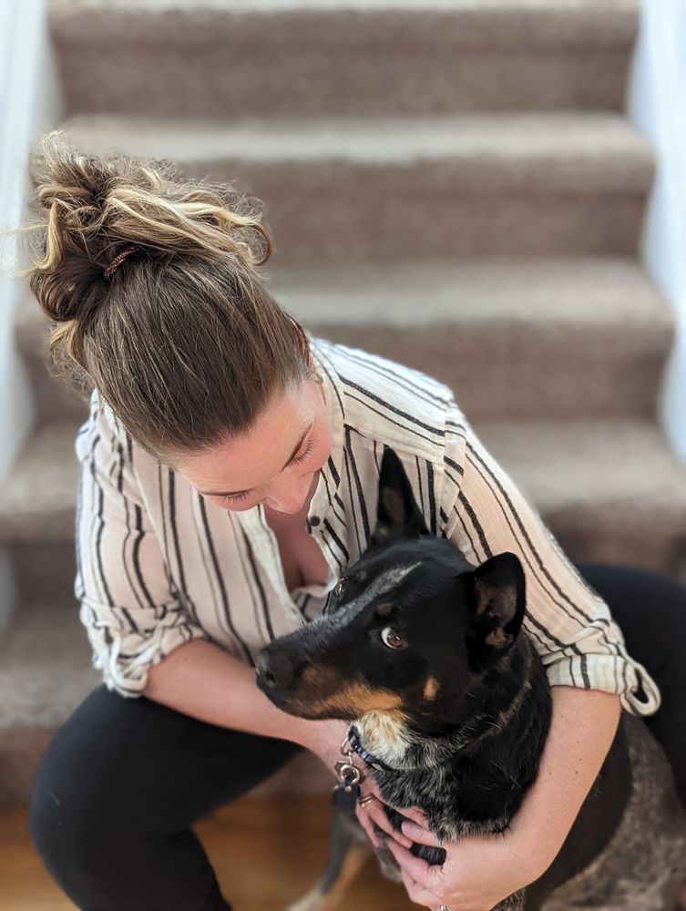 Jolie Beth ADHD Counseling and Coaching - child therapist in Fort Collins, CO