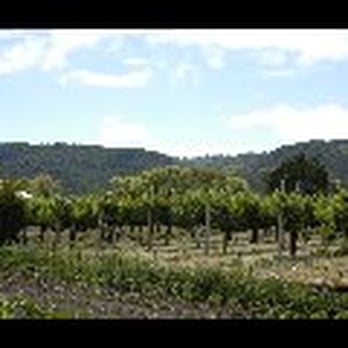 Brix - The vineyard - New American Near Me - Napa, California Brix - The vineyard - New American Near Me - Napa, California