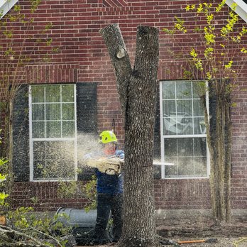 M&J Tree Professionals - Landscaping Near Me - Spring, Texas M&J Tree Professionals - Landscaping Near Me - Spring, Texas