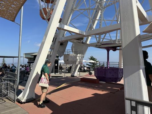 Tibidabo Amusement Park by null