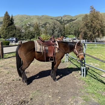 Chaparral Ranch - Horseback Riding Near Me - Woodside, California Chaparral Ranch - Horseback Riding Near Me - Woodside, California