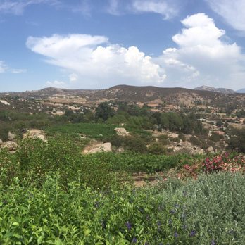 Turtle Rock Ridge Vineyard Winery - Wineries Near Me - Ramona, California Turtle Rock Ridge Vineyard Winery - Wineries Near Me - Ramona, California
