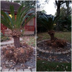 Low Country Fence, Lawn & Pressure Wash