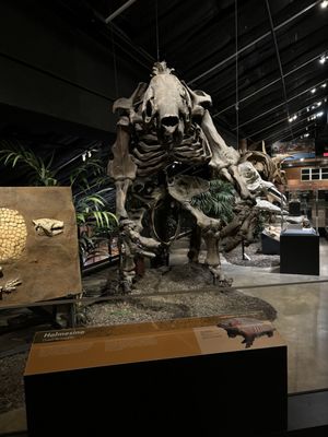 Houston Museum of Natural Science at Sugar Land by null