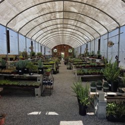 Bolles Nursery Landscape - Awesome succulent and cactus selection