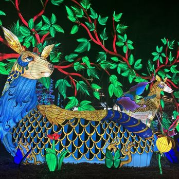 Chinese Lantern Festival - Festivals Near Me - Cary, North Carolina