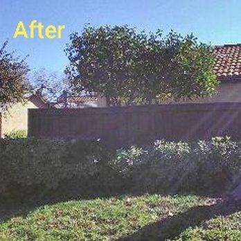 Big Mike & Sons' Tree Service - Tree Services Near Me - Costa Mesa, California Big Mike & Sons' Tree Service - Tree Services Near Me - Costa Mesa, California