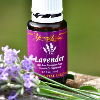 Mobile Massage by Tammy - Therapeutic Essential Oils will enhance your massage - Massage Therapy Near Me Mobile Massage by Tammy - Therapeutic Essential Oils will enhance your massage - Massage Therapy Near Me