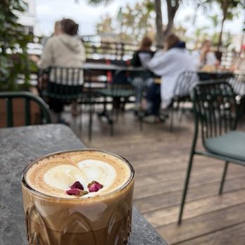 Il Giardino di Lilli - Cappuccino - Coffee & Tea Near Me - San Diego, California Il Giardino di Lilli - Cappuccino - Coffee & Tea Near Me - San Diego, California