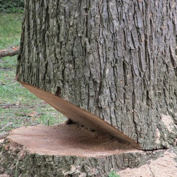 Baker Tree Service - Tree Services Near Me - Trenton, Ohio Baker Tree Service - Tree Services Near Me - Trenton, Ohio
