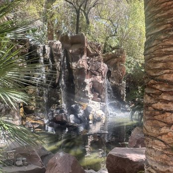 Flamingo Las Vegas - Hotels Near Me - Las Vegas, Nevada Flamingo Las Vegas - Hotels Near Me - Las Vegas, Nevada