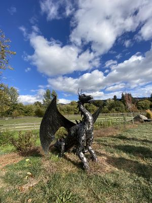 Wy'East Vineyards by null