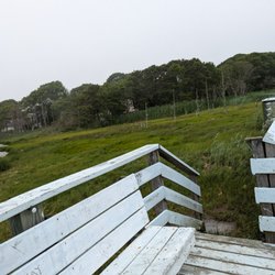 Swan Pond Boardwalk - I didn't go down those steps.