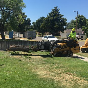 Travis Tree Service - Tree Services Near Me - Fresno, California Travis Tree Service - Tree Services Near Me - Fresno, California