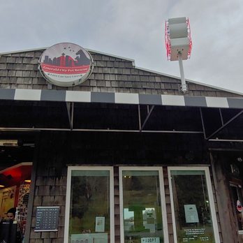 Emerald City Kitty Harbor 14 Photos Animal Shelters 3422 Harbor Ave Sw Seattle Wa Phone Number