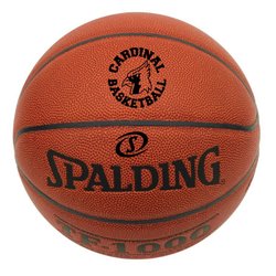 Wizard Sports Equipment - Laser logo basketballs at great prices.