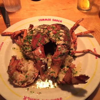 Summer Shack - Boston - 1.5lbs of Pan roasted lobster w/ a bourbon deglazed sauce, chervil & congealed hemolymph. Huge, huge mess; not worth $40 bucks. - Seafood Near Me - Boston, Massachusetts Summer Shack - Boston - 1.5lbs of Pan roasted lobster w/ a bourbon deglazed sauce, chervil & congealed hemolymph. Huge, huge mess; not worth $40 bucks. - Seafood Near Me - Boston, Massachusetts