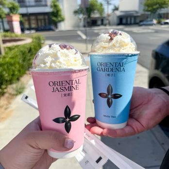 Molly Tea - Bubble Tea Near Me - San Gabriel, California Molly Tea - Bubble Tea Near Me - San Gabriel, California