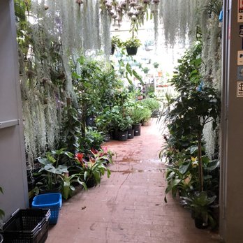 Jordan's Jungle - Entrance - Nurseries & Gardening Near Me - Pawtucket, Rhode Island