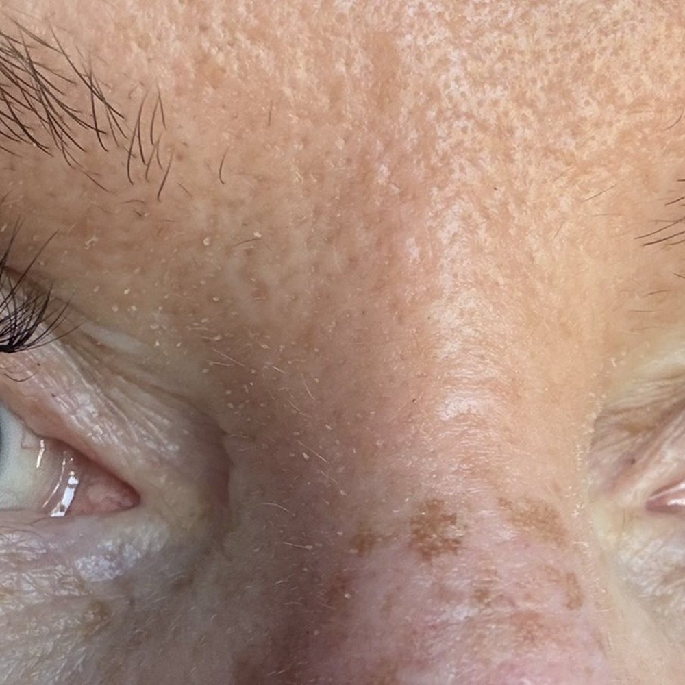 Element Lash - Eyelash Service Near Me - St. Petersburg, Florida Element Lash - Eyelash Service Near Me - St. Petersburg, Florida