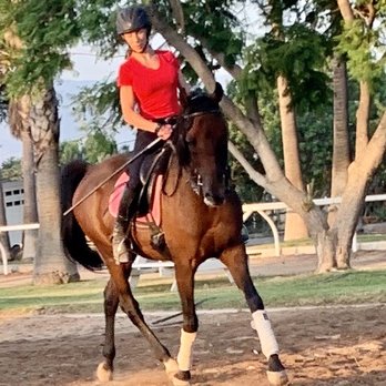 Star Brite Riding Academy - Tiffany on Magic in a lesson - Horseback Riding Near Me - Norco, California Star Brite Riding Academy - Tiffany on Magic in a lesson - Horseback Riding Near Me - Norco, California