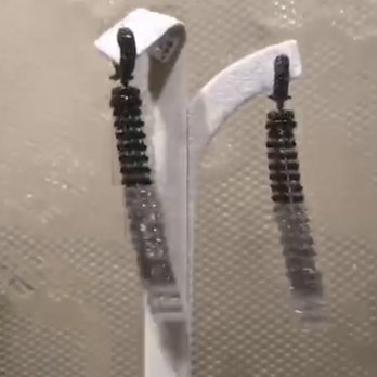 Yvel Boutique - My new favorite Earrings - Jewelry Near Me - Boston, Massachusetts Yvel Boutique - My new favorite Earrings - Jewelry Near Me - Boston, Massachusetts