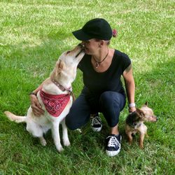 Lisa (co-owner of Gentle Dog Training) with their lab Lexi and Yorkie Oliver.
