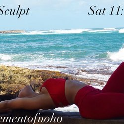 Hot Soul Yoga - Soul Sculpt is the Law of Attraction w Weights! Burn up to 500 Calories per class & keep burning through out your day!