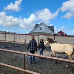 Korobi Stables - Class, Nature, and Good Ol'e Fashioned Grit!