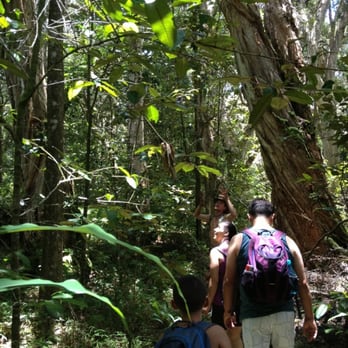 Hike Maui - Bocher telling us about the trees. - Tours Near Me - Kahului, Hawaii Hike Maui - Bocher telling us about the trees. - Tours Near Me - Kahului, Hawaii