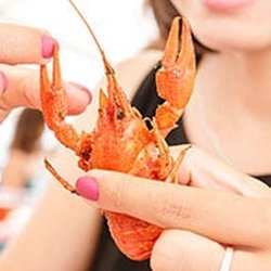 Bistro d'Édouard - Faubourg de l’Arche - Bistronomie et cuisine d'automne