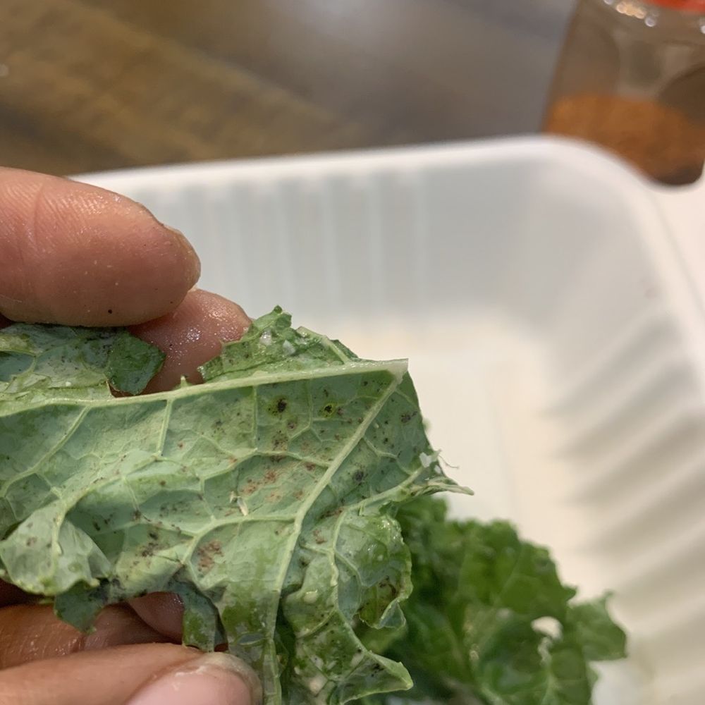 bellagreen - KALE CAESAR SALAD - Gluten-Free Near Me - Houston, Texas bellagreen - KALE CAESAR SALAD - Gluten-Free Near Me - Houston, Texas
