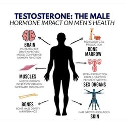 NWI Integrative Health & Wellness - We offer testosterone cypionate, and evexias pellets.