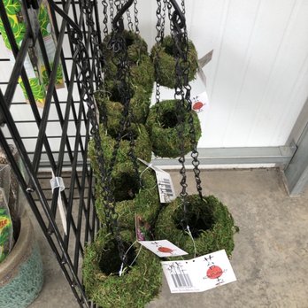 The Garden Factory - Kokedamas - Nurseries & Gardening Near Me - Rochester, New York