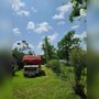 Photo of Calcasieu's Tree Service