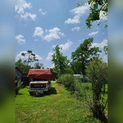 Calcasieu's Tree Service
