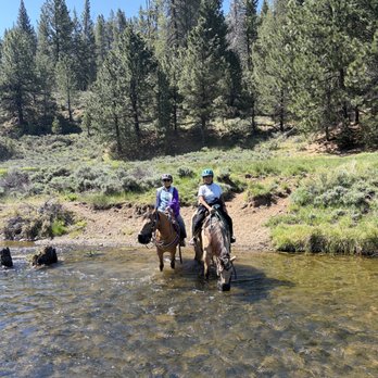 Piping Rock Horses - Crossing the river - Horseback Riding Near Me - Truckee, California Piping Rock Horses - Crossing the river - Horseback Riding Near Me - Truckee, California