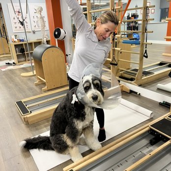 Core Pilates Dallas - Pilates Near Me - Dallas, Texas Core Pilates Dallas - Pilates Near Me - Dallas, Texas