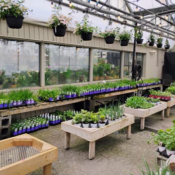 Serres Lavoie - Inside the greenhouse - Nurseries & Gardening Near Me - Laval, Quebec