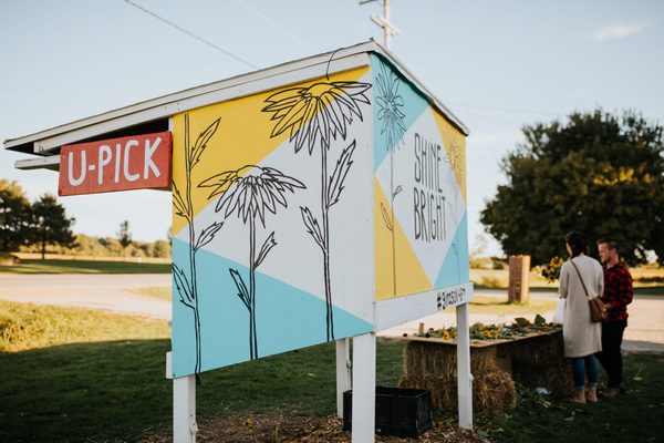 Bremer Produce U-Pick Flower Farm by null