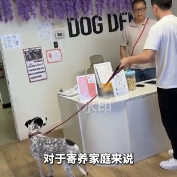 Dog Den - Pet Groomers Near Me - Anaheim, California Dog Den - Pet Groomers Near Me - Anaheim, California