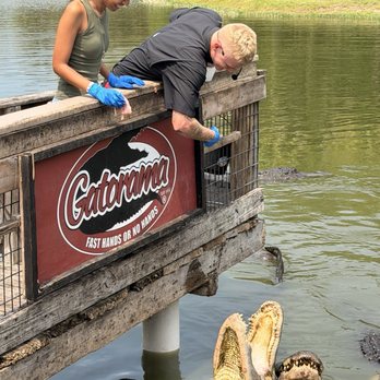Gatorama - Fast Hands - Zoos Near Me - Palmdale, Florida Gatorama - Fast Hands - Zoos Near Me - Palmdale, Florida