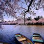 Photo of CenterPointe Boat Services