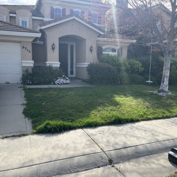Alday Landscape - Yard before - Landscaping Near Me Alday Landscape - Yard before - Landscaping Near Me