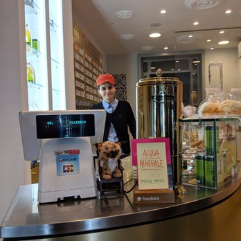Pellegrino 1936 - Gelato Near Me - Bologna, BO Pellegrino 1936 - Gelato Near Me - Bologna, BO