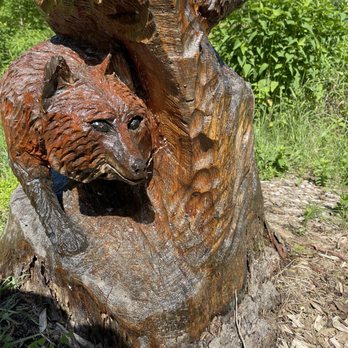Hollidge Tract - Hiking Near Me - Whitchurch-Stouffville, Ontario