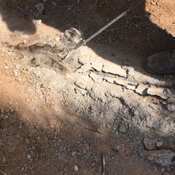 Landscape4AZ - Horizontal rebar placed on top of footer (removal picture)
