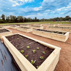 The Community Collective for Houston - The Garden made by Lucile's 1913