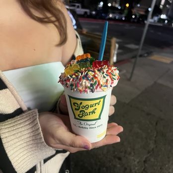 Yogurt Park - Small Strawberry with Rainbow Sprinkles & Gummy Bears - Ice Cream & Frozen Yogurt Near Me - Berkeley, California