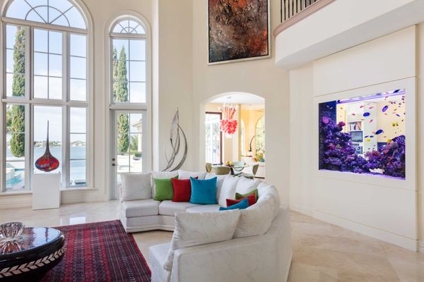 Jellyfish Art by null